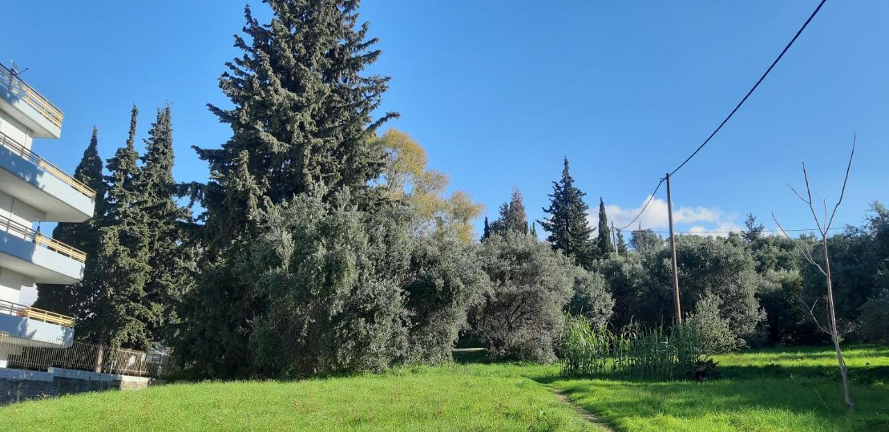 Όμορφο Studio Στην Πόλη Πάτρα المظهر الخارجي الصورة